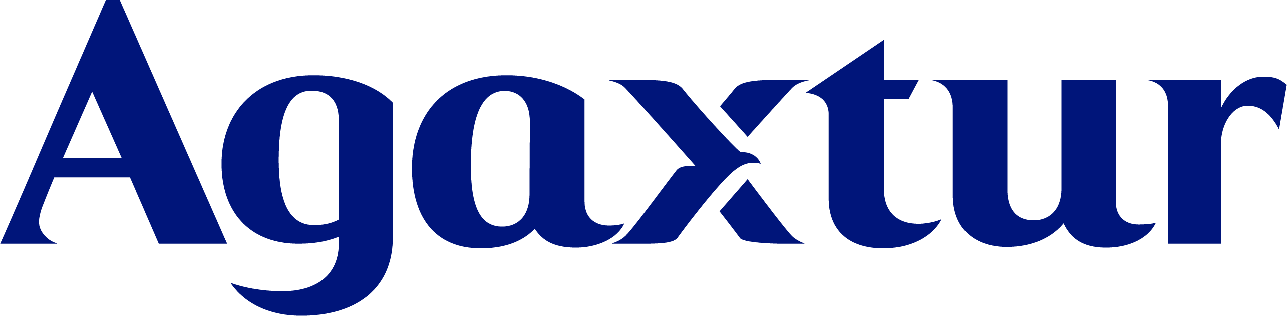 AGAXTUR TURISMO